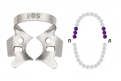 205